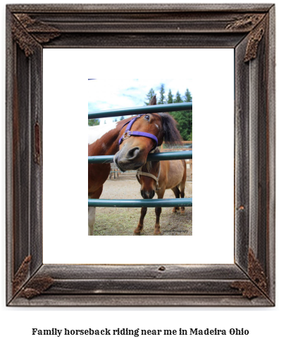 family horseback riding near me in Madeira, Ohio